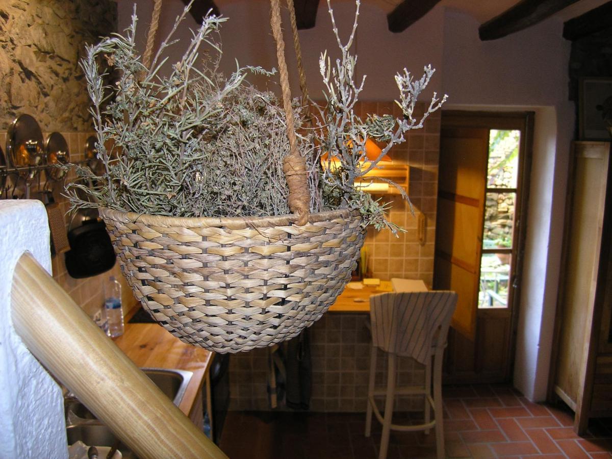 Cal Joanet, Acollidora Caseta A Gratallops Luaran gambar